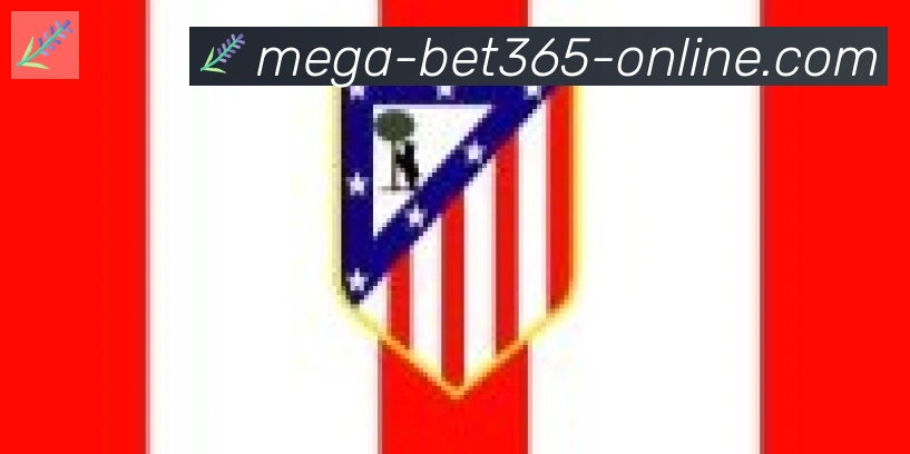bet365在线体育合作伙伴