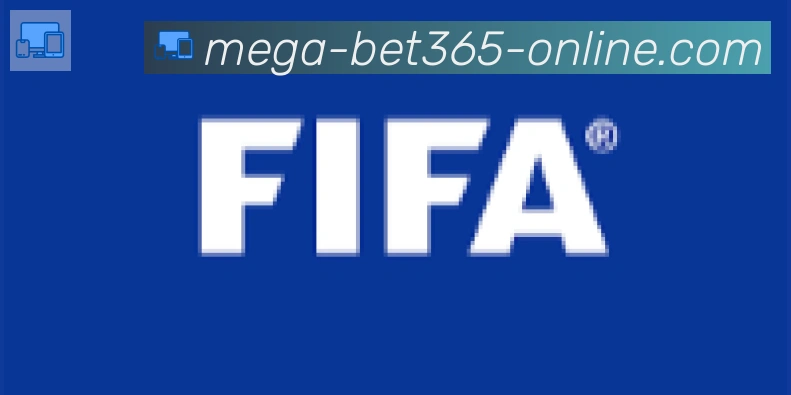 bet365在线体育合作伙伴